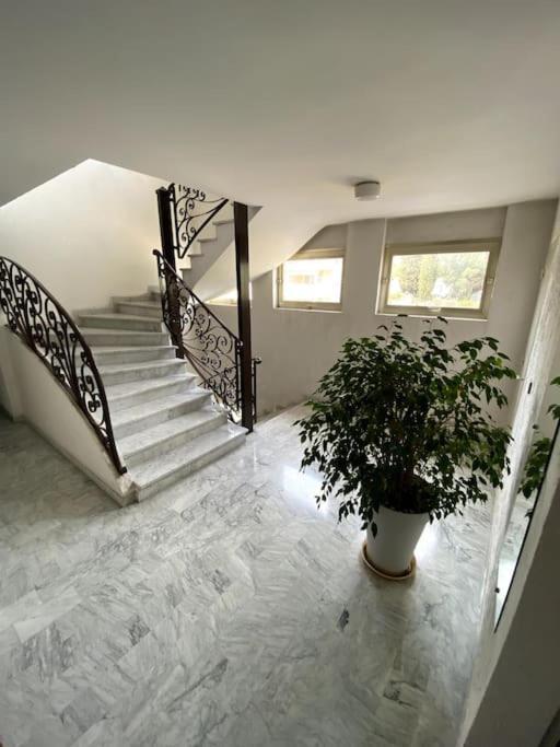 Logement Cosy, Situe Entre Ciel Et Mer 방스 외부 사진